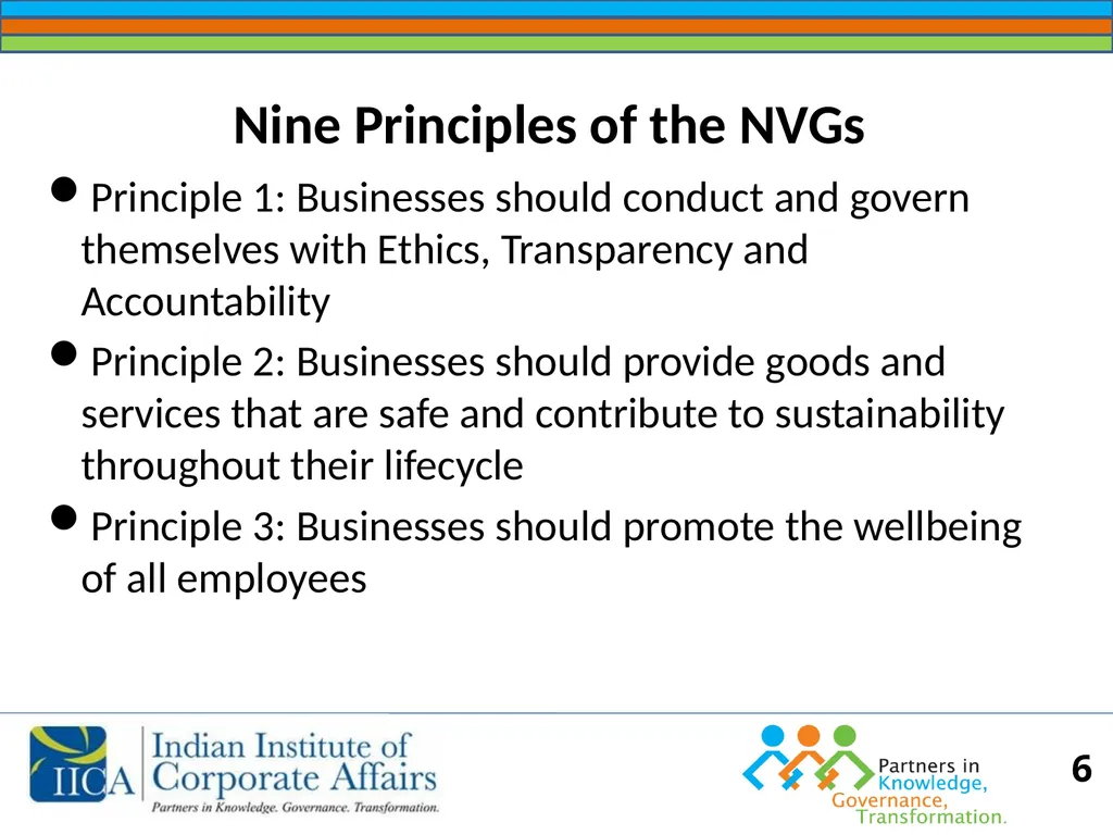 BUSINESS RESPONSIBILITY Orientation on NVGs and - slide 6 of 51