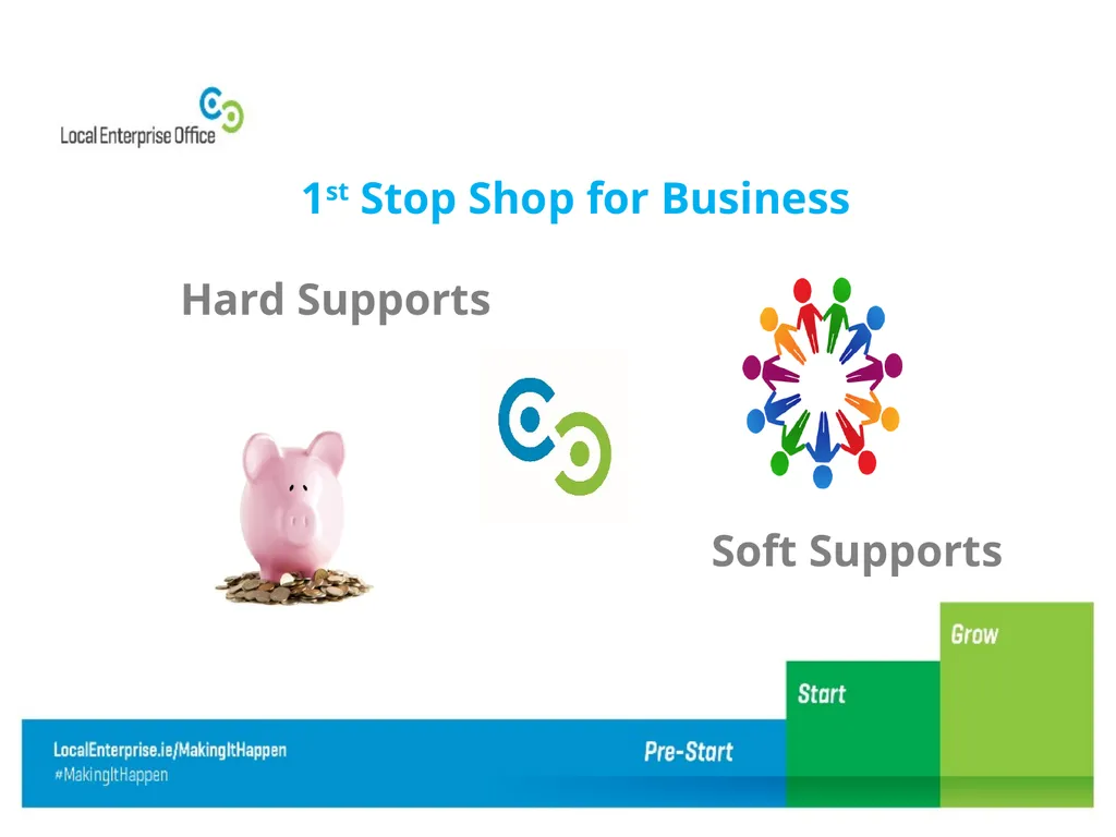 Micro Enterprise Supports Audrey Coyne LEO Dublin - slide 4 of 21