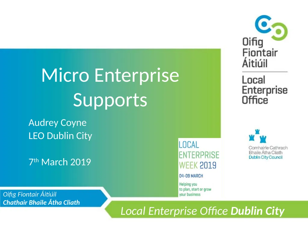 Micro Enterprise Supports Audrey Coyne LEO Dublin - slide 1 of 21