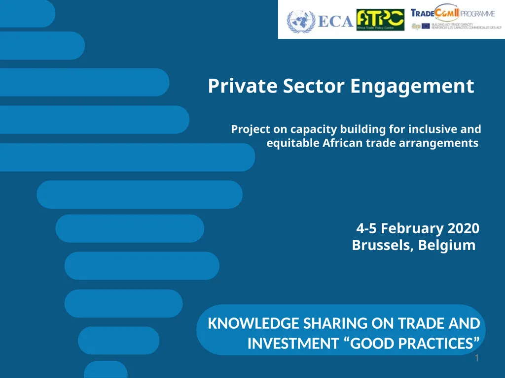 Private Sector Engagement Project on capacity - slide 1 of 10