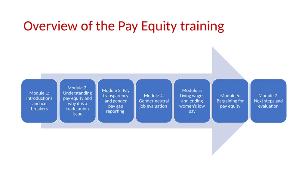 IndustriALL Pay Equity Training Modules Dr. Jane - slide 3 of 95