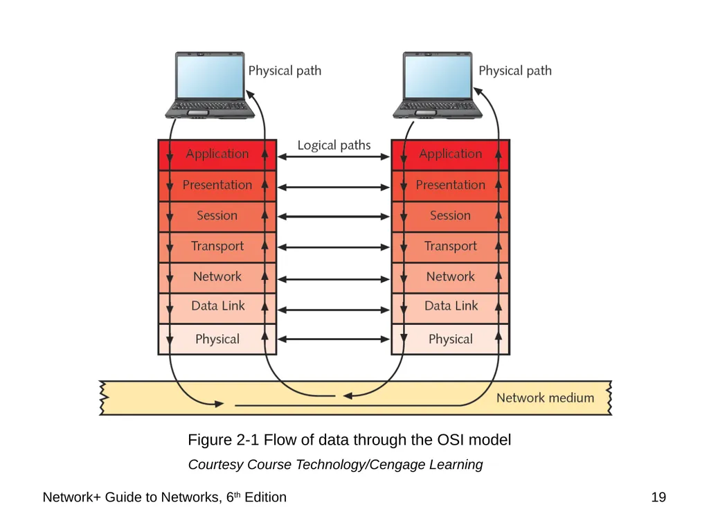 Network+ Guide to Networks 6th Edition Chapter 2 - slide 19 of 54