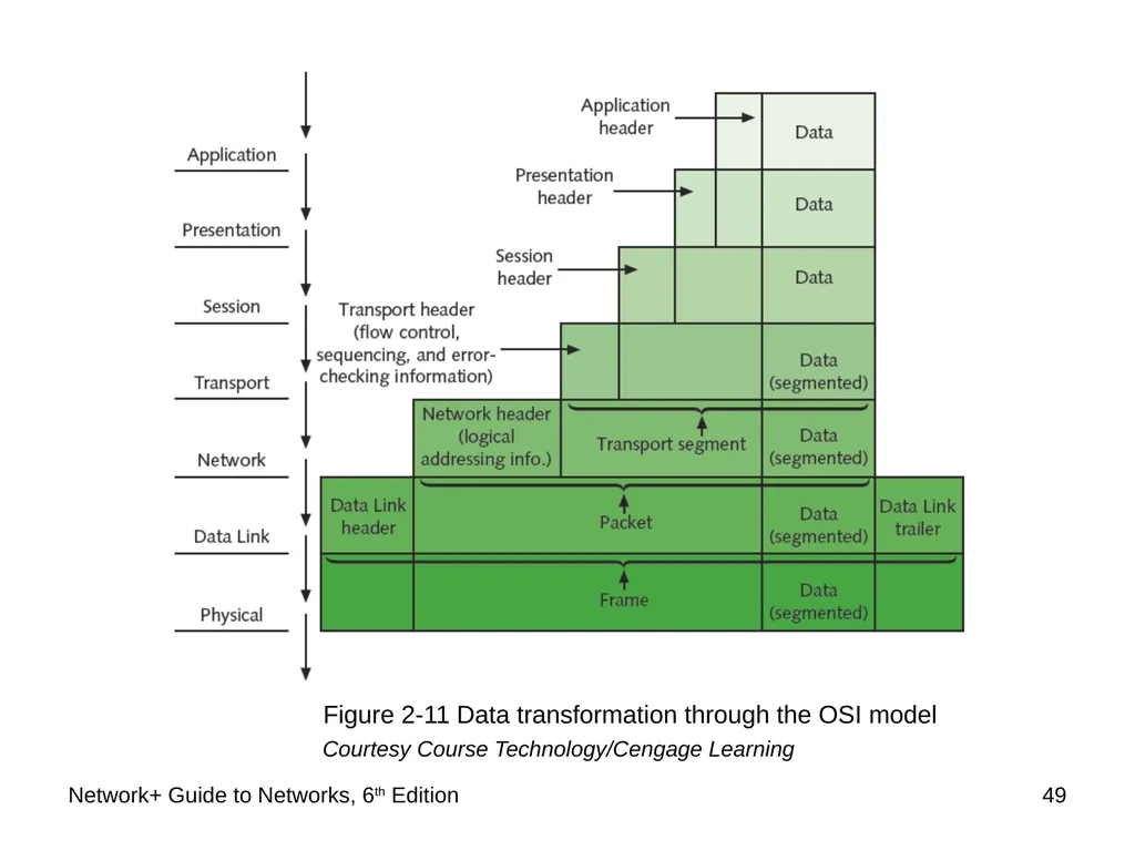 Network+ Guide to Networks 6th Edition Chapter 2 - slide 49 of 54