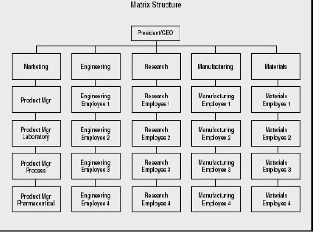 Multinational Companies (MNCs) Multinational - slide 33 of 46