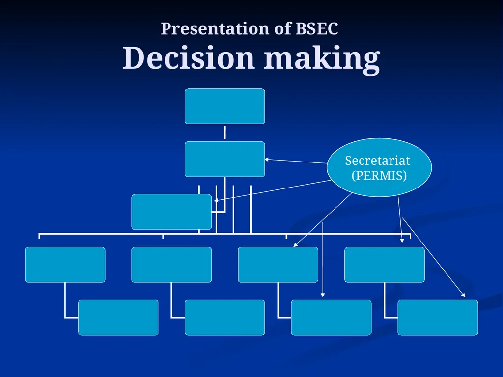 The Black Sea Economic Cooperation (BSEC): 20 - slide 12 of 29