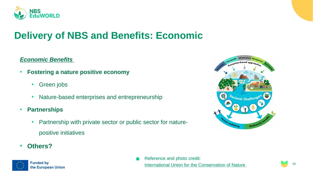 Steps to NBS Workshop II - Delivery with - slide 10 of 15