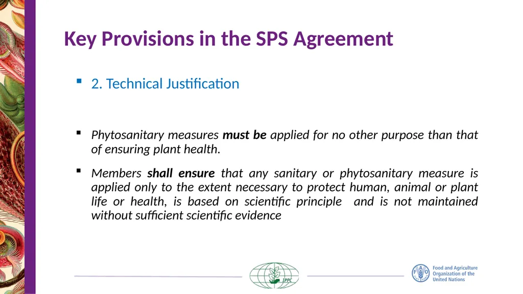 The IPPC Secretariat With the financial support of - slide 13 of 20