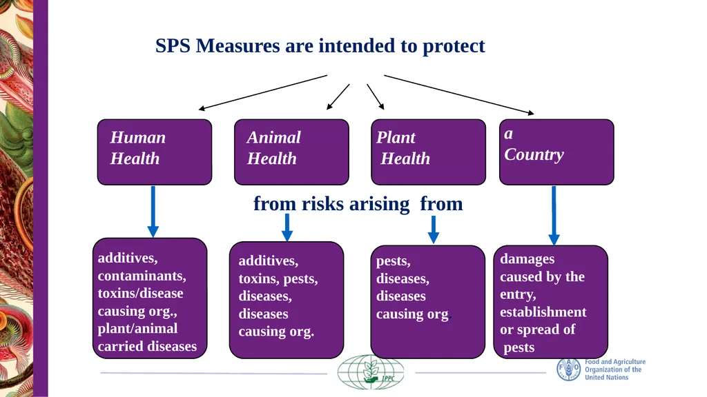 The IPPC Secretariat With the financial support of - slide 11 of 20