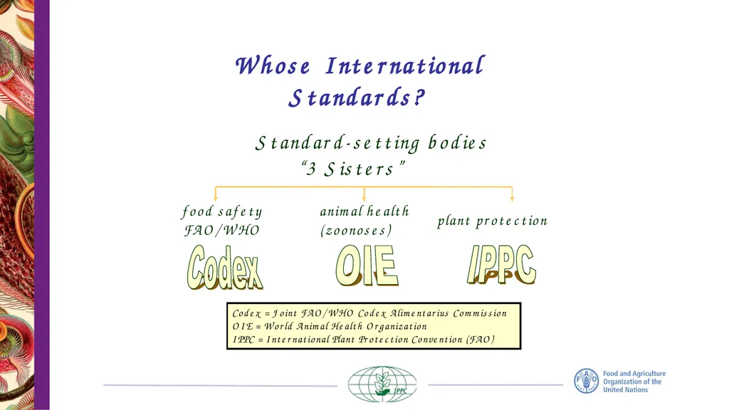 The IPPC Secretariat With the financial support of - slide 15 of 20