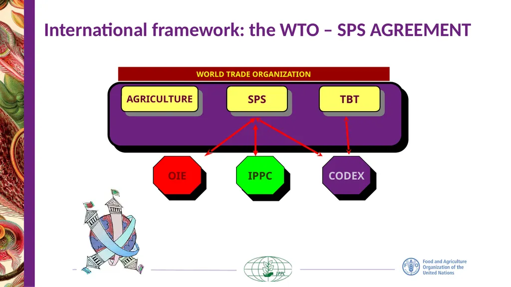 The IPPC Secretariat With the financial support of - slide 4 of 20