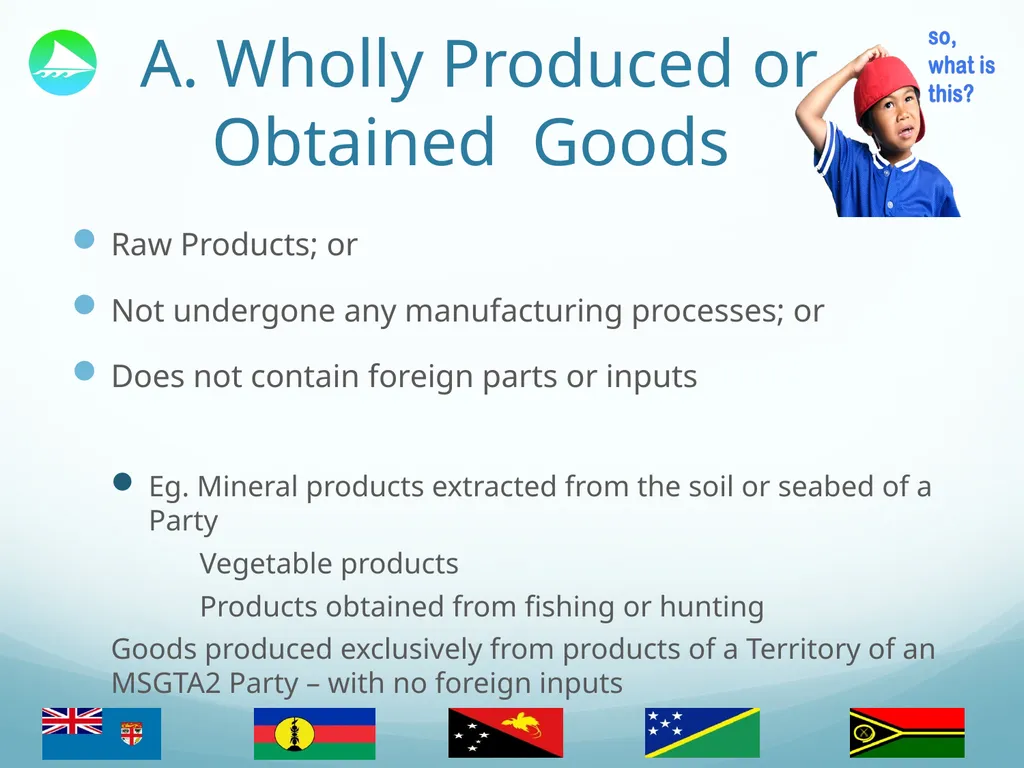 The Melanesian Spearhead Group (MSG) Trade - slide 11 of 17