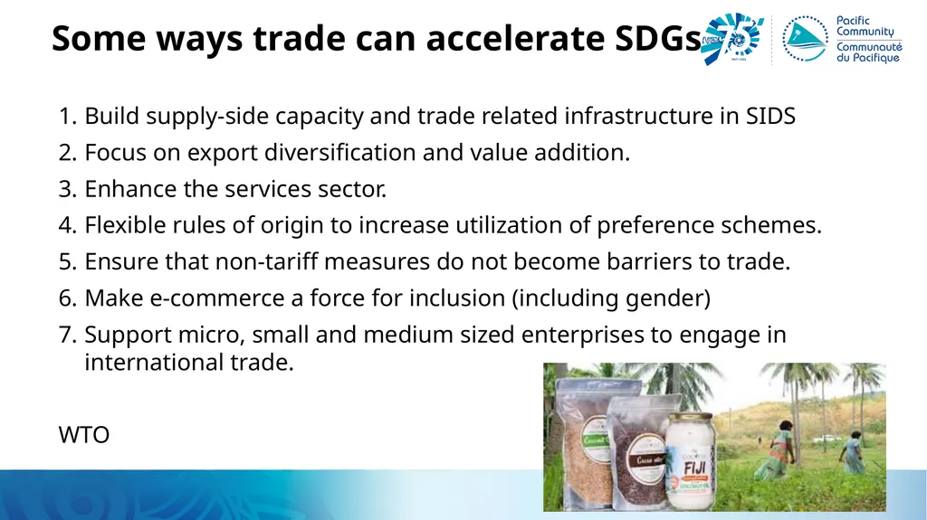 Trade and the SDGs Alison, SDD for IMTS Workshop, - slide 3 of 25