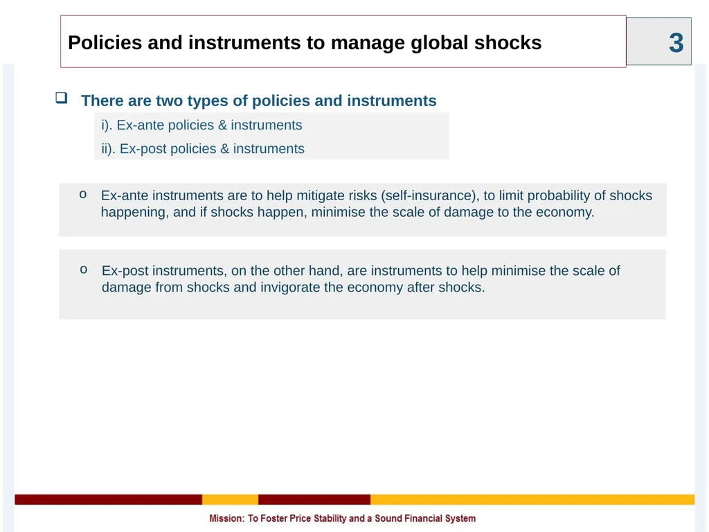 Policy Instruments to Manage Global Shocks - slide 3 of 11