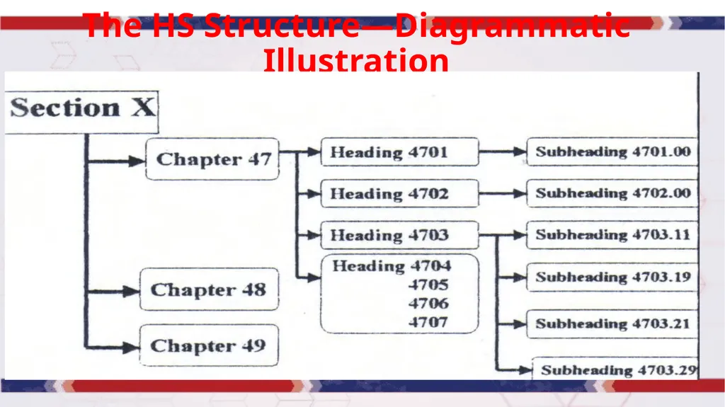 MODULE VI CUSTOMS BROKERS LICENSING TRAINING - slide 21 of 39