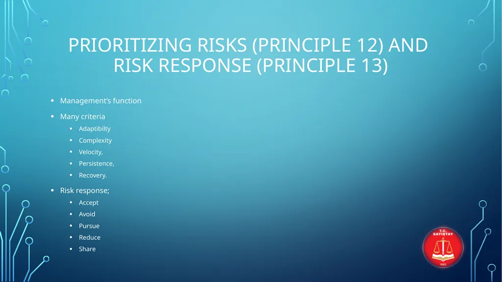 INTERNATIONAL STANDARDS FOR ENTERPRISE RISK - slide 41 of 46