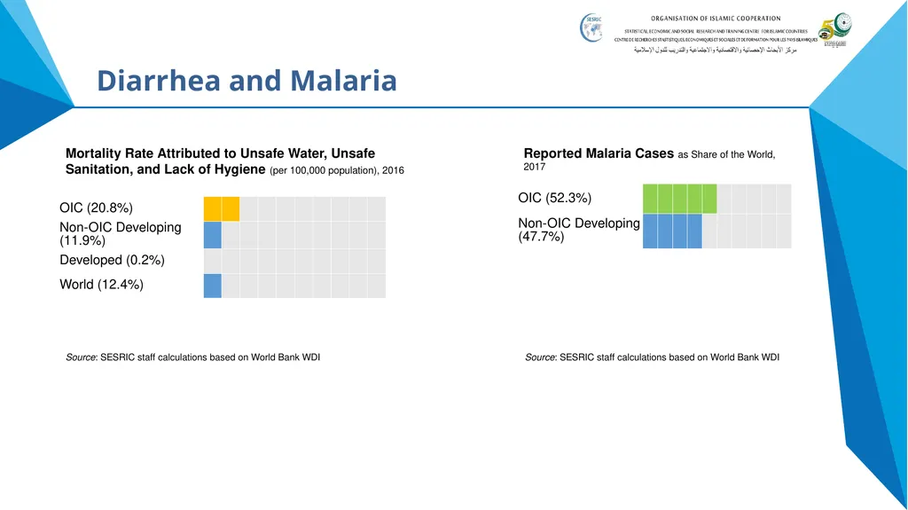 State of Health in OIC Member States Presentation - slide 11 of 19