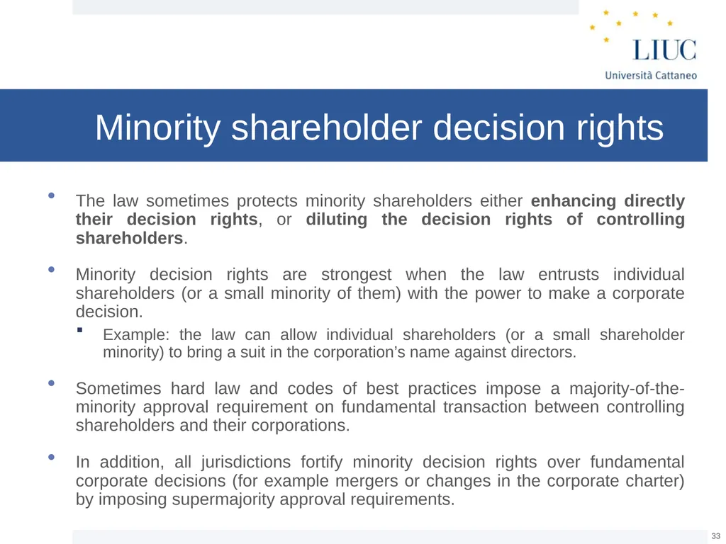 The Basic Governance Structure: the Interests of - slide 33 of 39