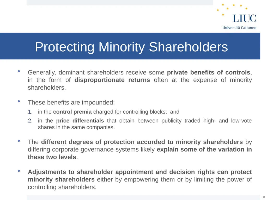 The Basic Governance Structure: the Interests of - slide 30 of 39