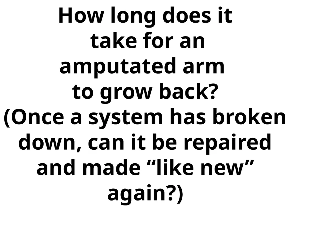 CHAPTER 5 GLOBAL BUSINESS ETHICS Global Business - slide 24 of 107