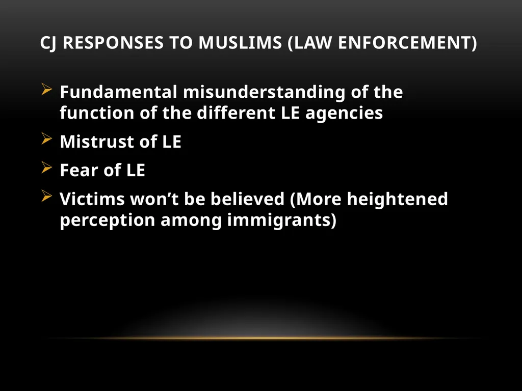 Darakshan Raja, MA Associate, Safe Nation - slide 43 of 54