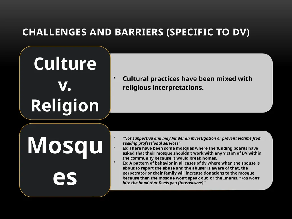 Darakshan Raja, MA Associate, Safe Nation - slide 38 of 54