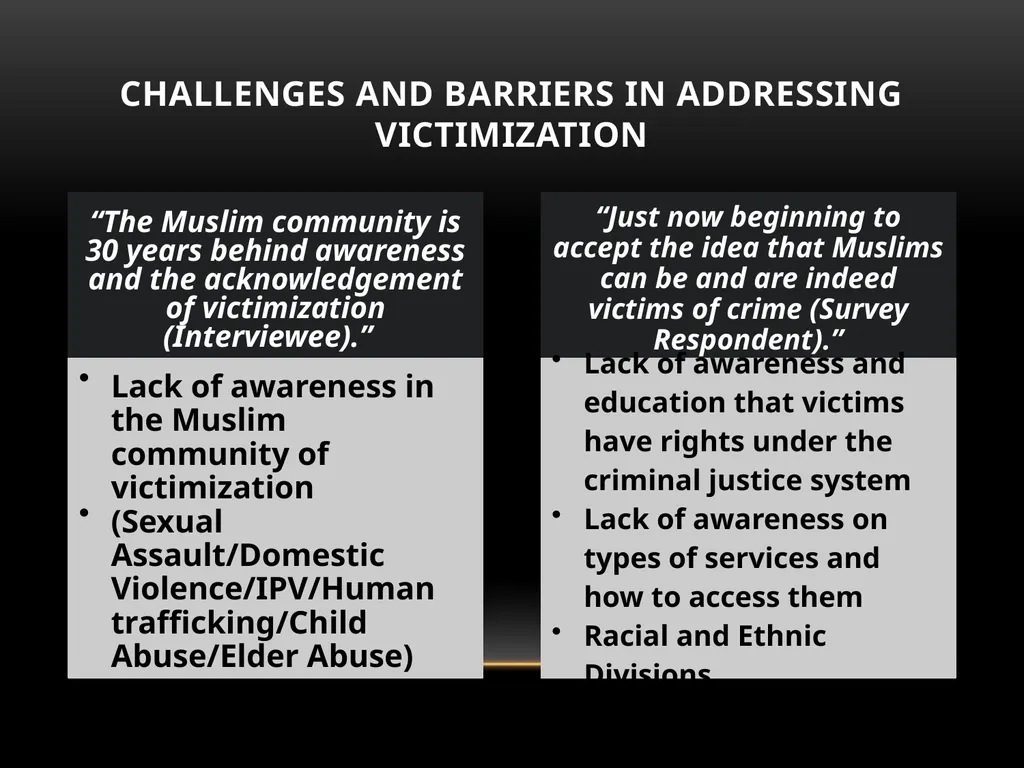 Darakshan Raja, MA Associate, Safe Nation - slide 35 of 54