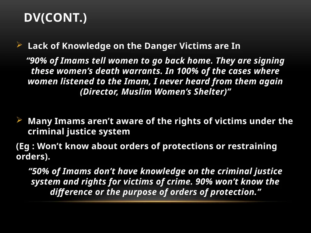 Darakshan Raja, MA Associate, Safe Nation - slide 40 of 54