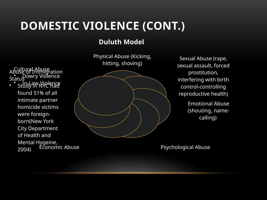 Darakshan Raja, MA Associate, Safe Nation - slide 20 of 54