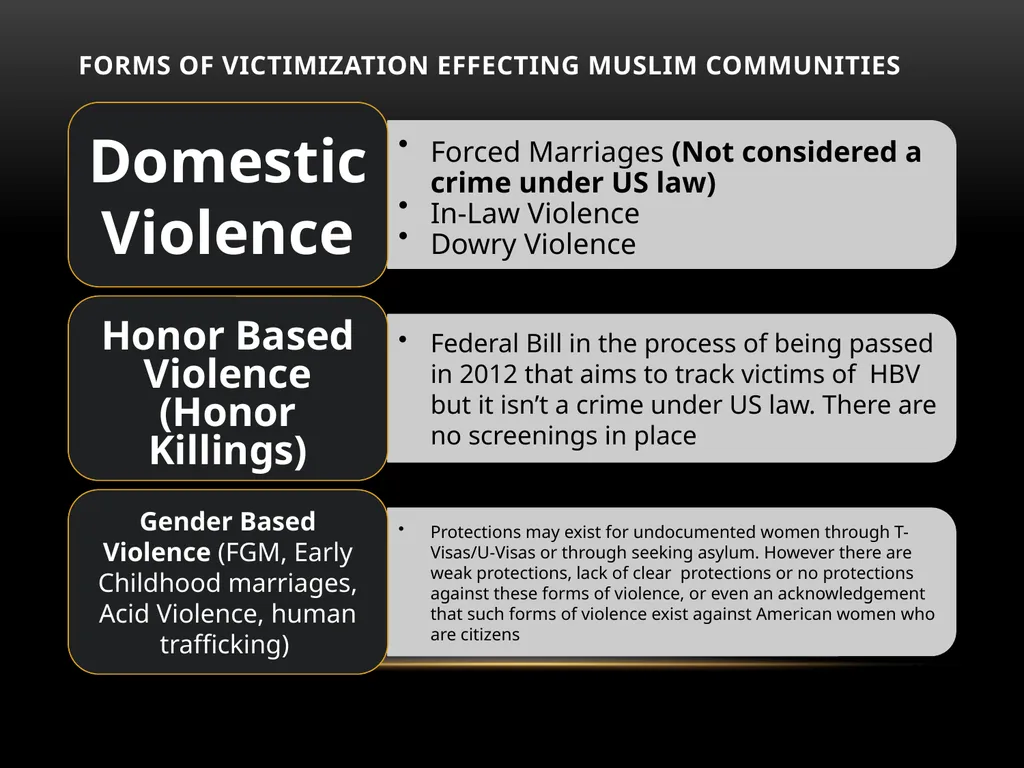 Darakshan Raja, MA Associate, Safe Nation - slide 15 of 54