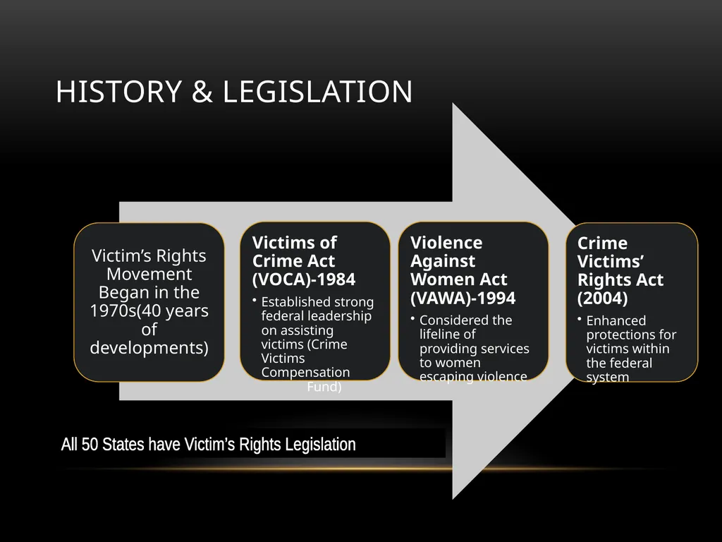 Darakshan Raja, MA Associate, Safe Nation - slide 7 of 54