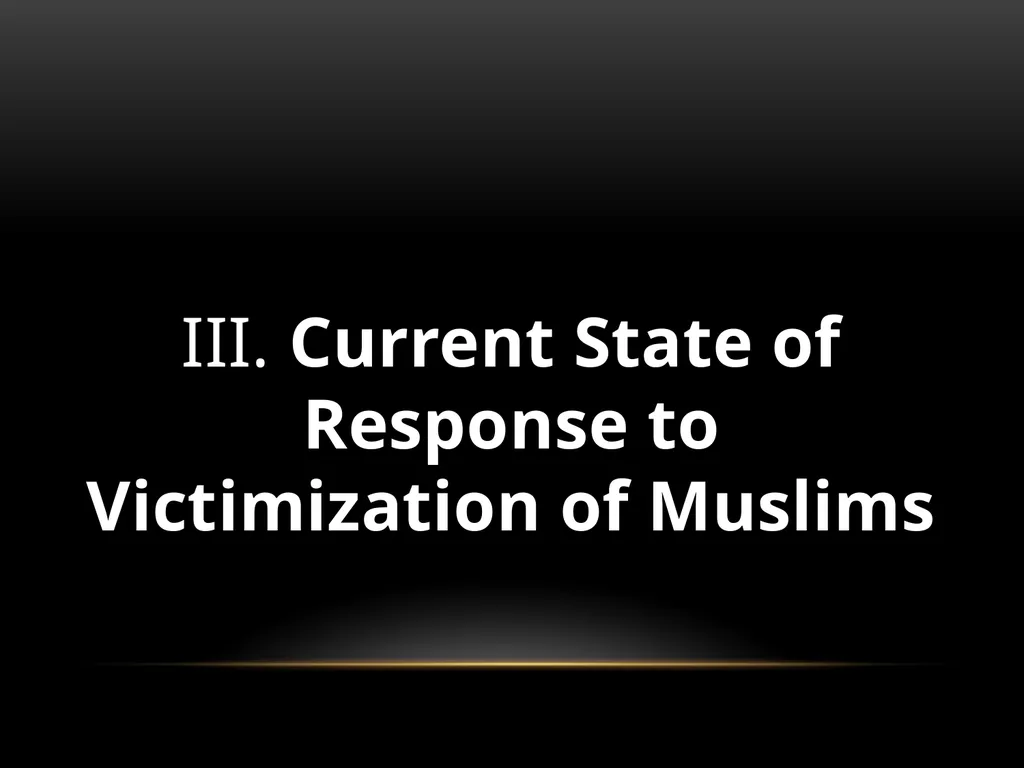 Darakshan Raja, MA Associate, Safe Nation - slide 30 of 54