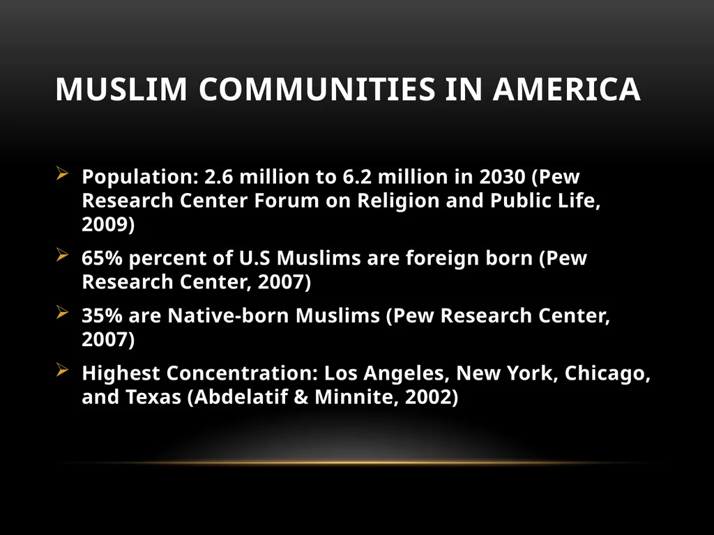 Darakshan Raja, MA Associate, Safe Nation - slide 13 of 54