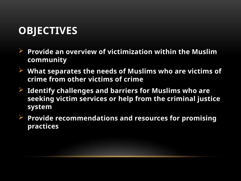 Darakshan Raja, MA Associate, Safe Nation - slide 4 of 54