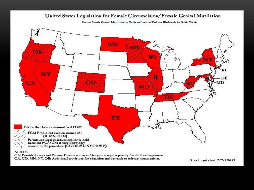 Darakshan Raja, MA Associate, Safe Nation - slide 28 of 54