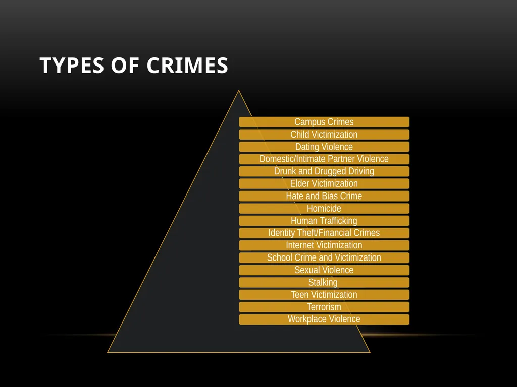 Darakshan Raja, MA Associate, Safe Nation - slide 8 of 54