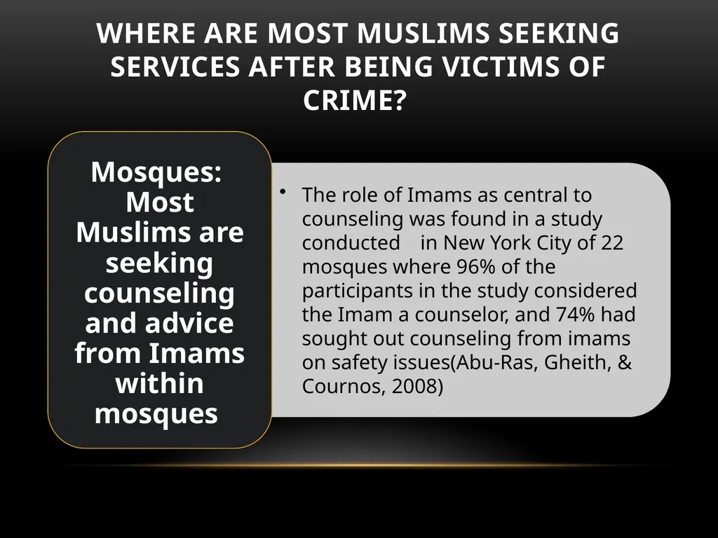 Darakshan Raja, MA Associate, Safe Nation - slide 31 of 54