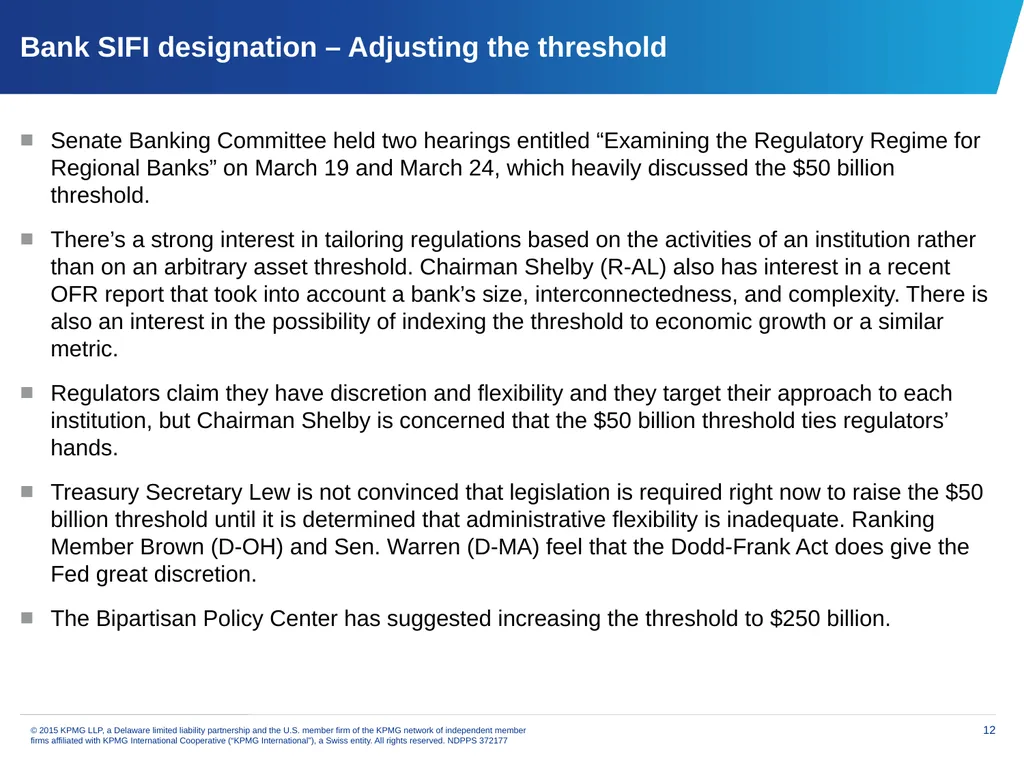 Financial services issues update Priya Dayananda - slide 12 of 19