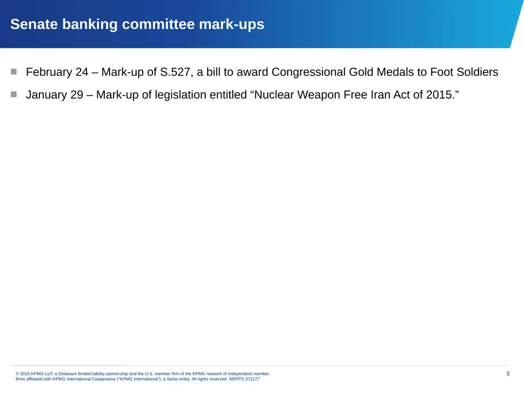 Financial services issues update Priya Dayananda - slide 3 of 19
