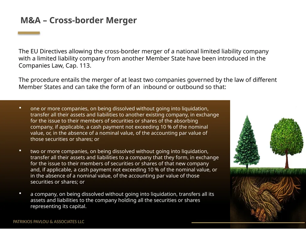 Cyprus Mergers & Acquisitions – What are your - slide 6 of 10