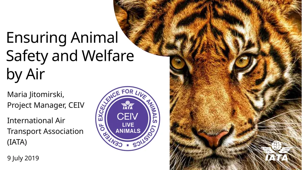 Ensuring Animal Safety and Welfare by Air Maria
