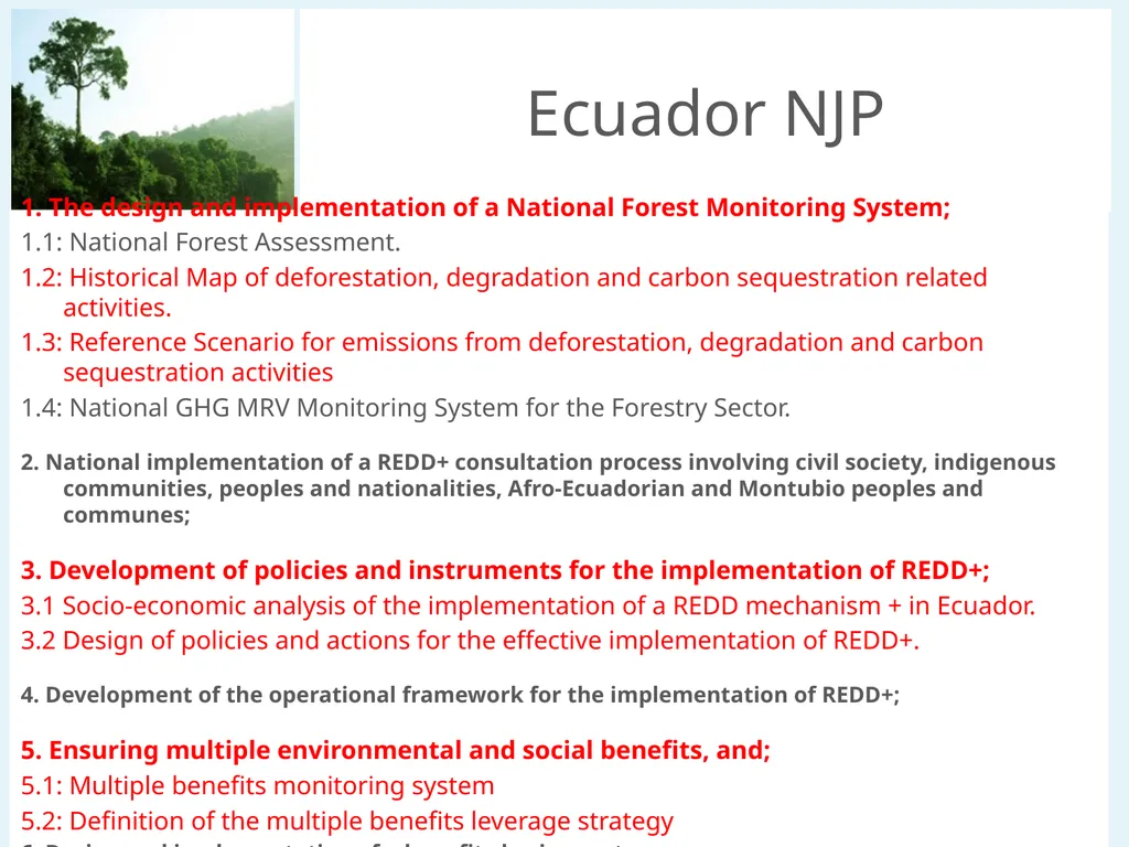 Update on biodiversity and indigenous and local - slide 18 of 21