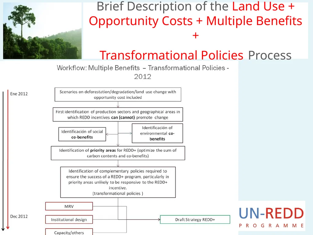 Update on biodiversity and indigenous and local - slide 16 of 21