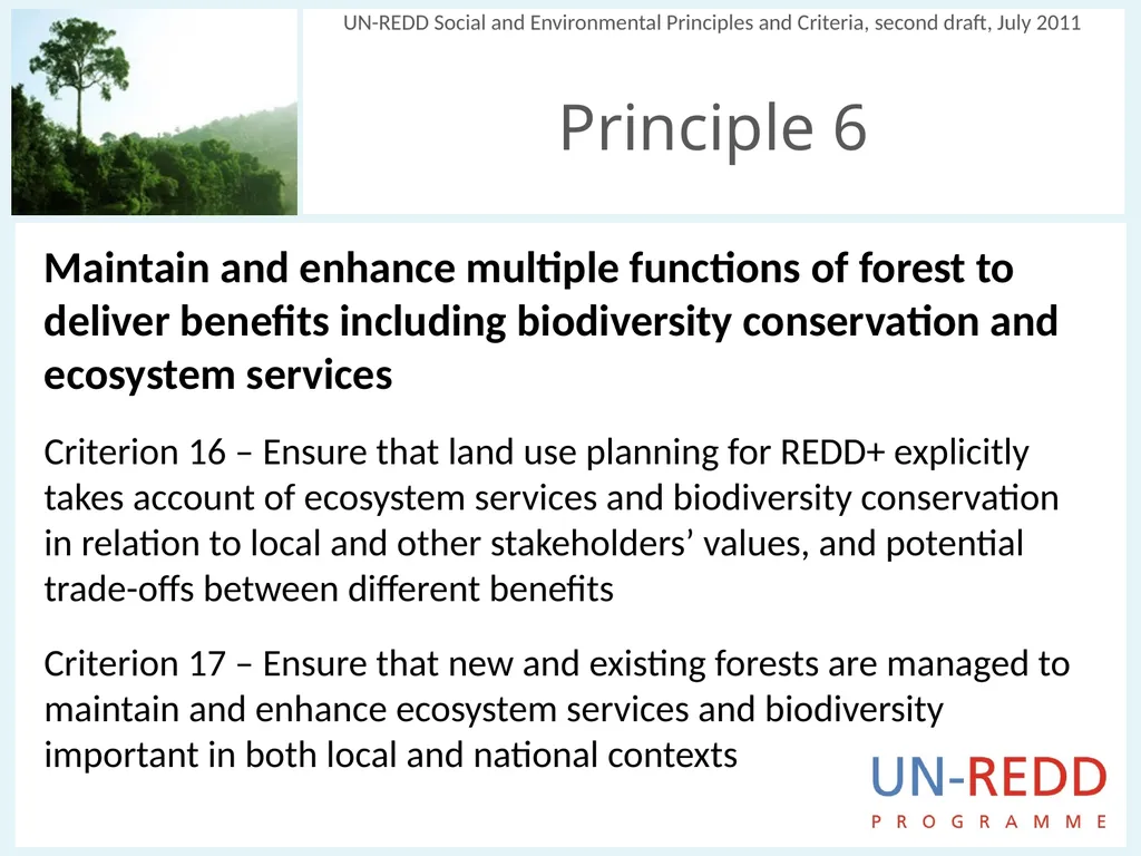 Update on biodiversity and indigenous and local - slide 14 of 21