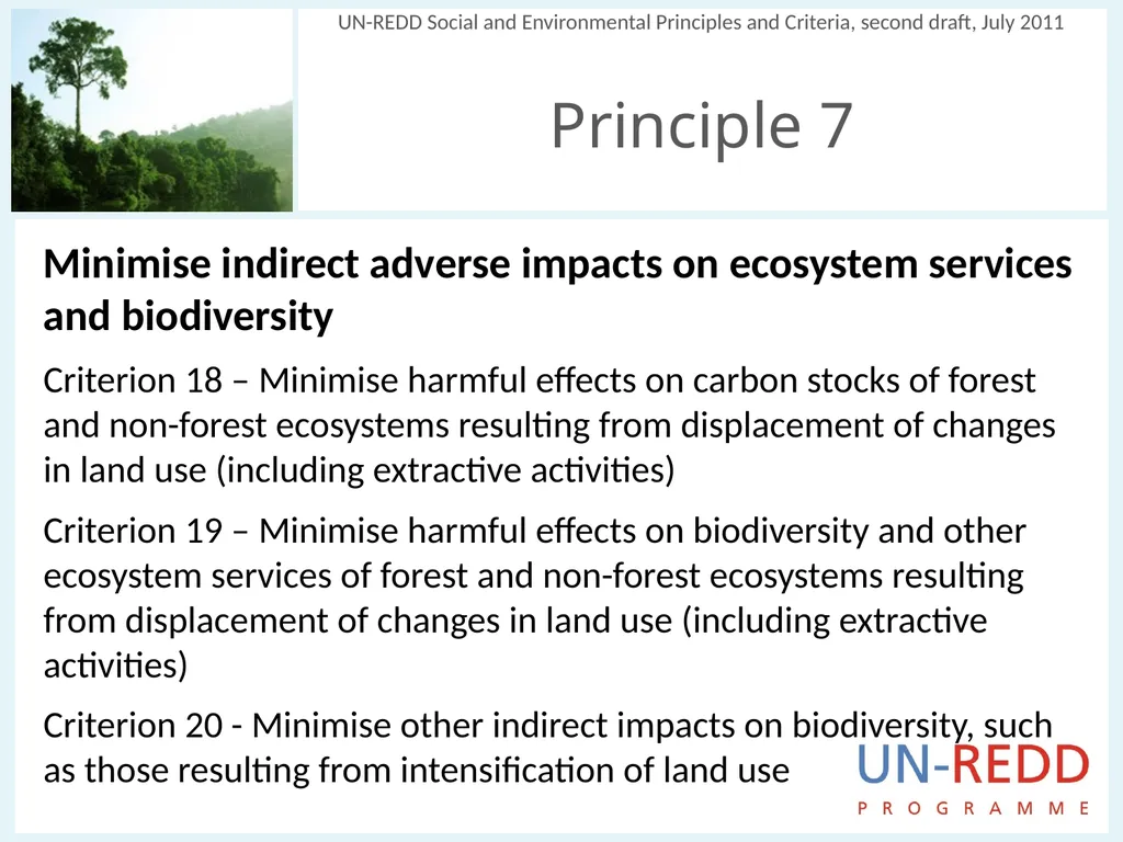 Update on biodiversity and indigenous and local - slide 15 of 21