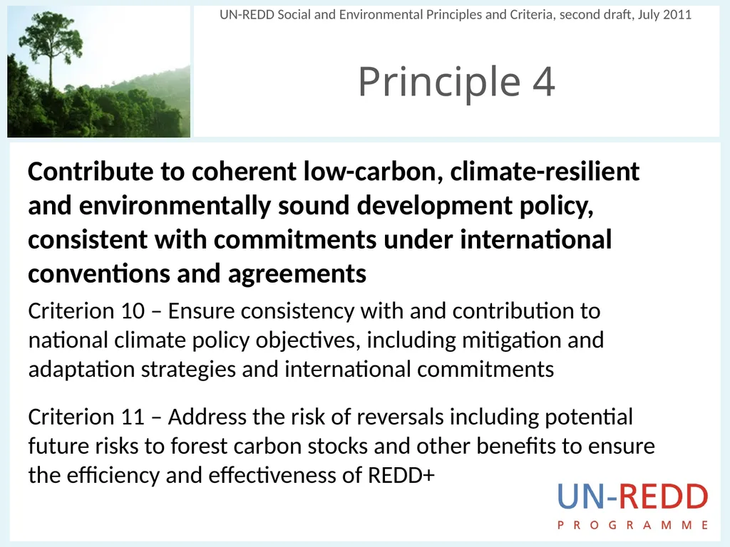 Update on biodiversity and indigenous and local - slide 11 of 21