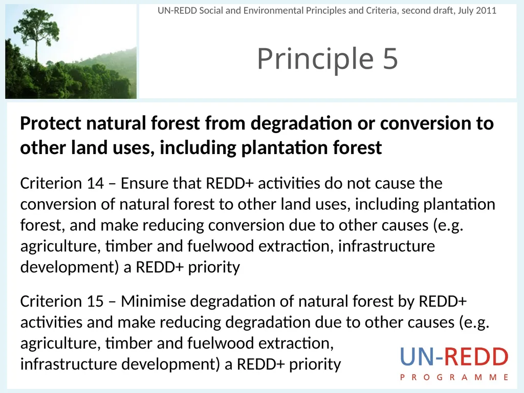 Update on biodiversity and indigenous and local - slide 13 of 21