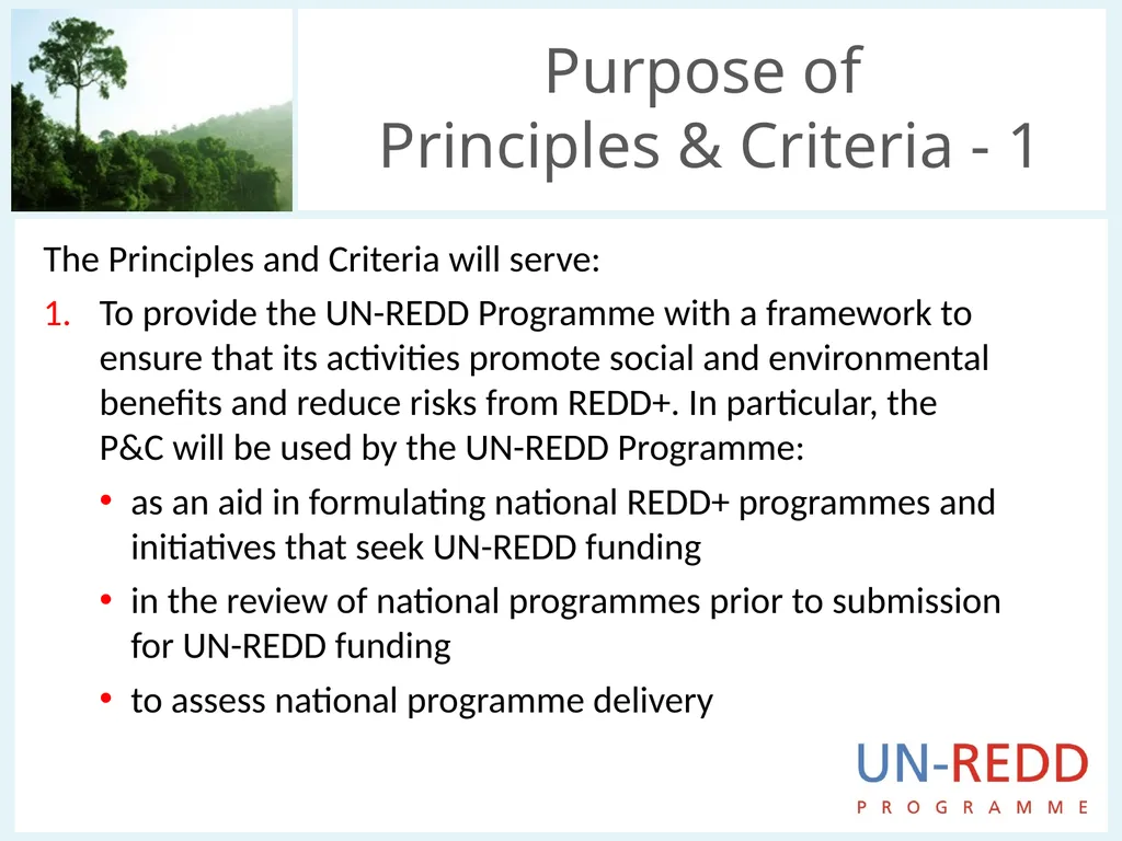 Update on biodiversity and indigenous and local - slide 5 of 21
