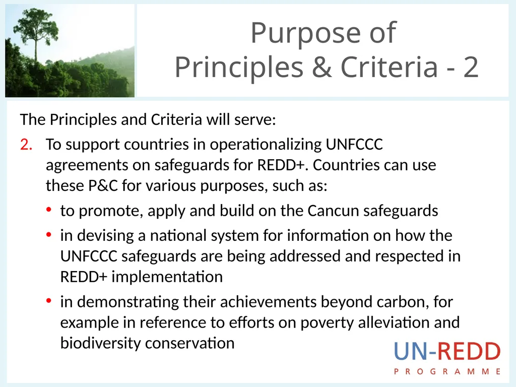 Update on biodiversity and indigenous and local - slide 6 of 21