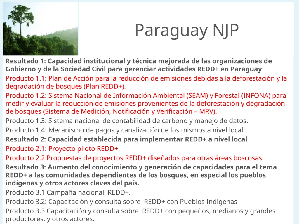 Update on biodiversity and indigenous and local - slide 17 of 21