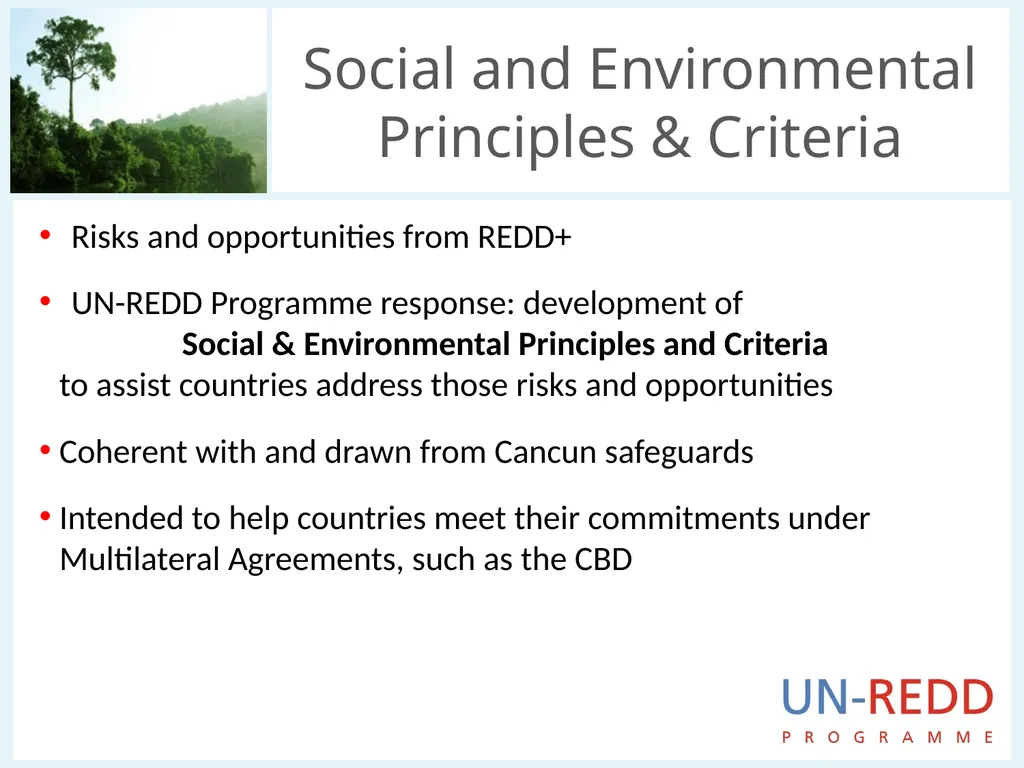 Update on biodiversity and indigenous and local - slide 4 of 21